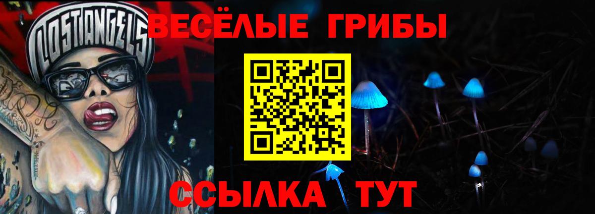 Псилоцибиновые грибы GOLDEN TEACHER  Вход с VPN  даркнет сайт  Алапаевск  Галлюциногенные грибы Magic Shrooms 